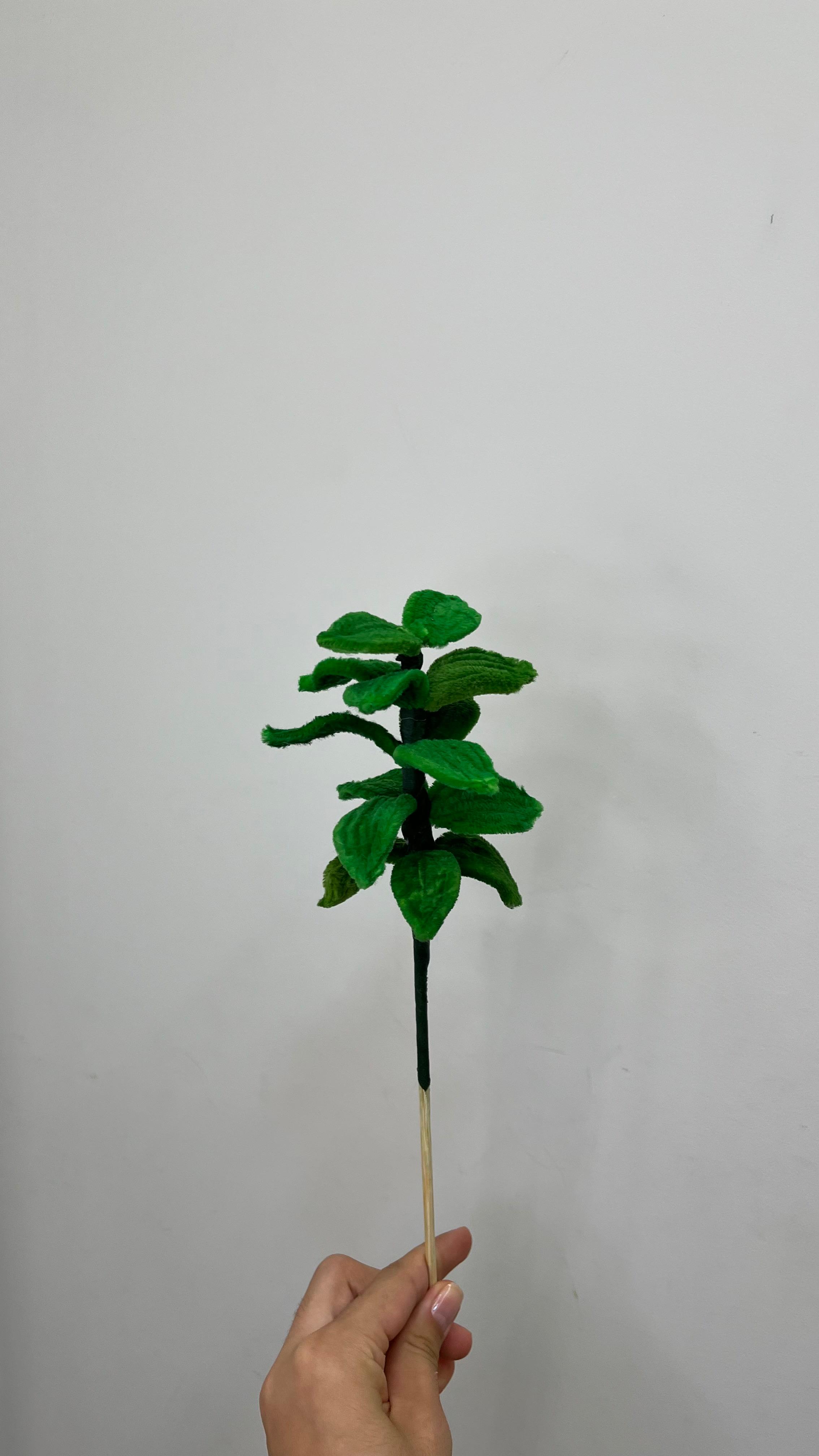 Folha Camélia PipeFlorYou